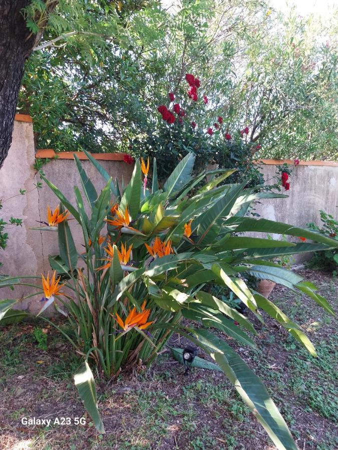 Bed and Breakfast Chez Isabelle Luri Экстерьер фото